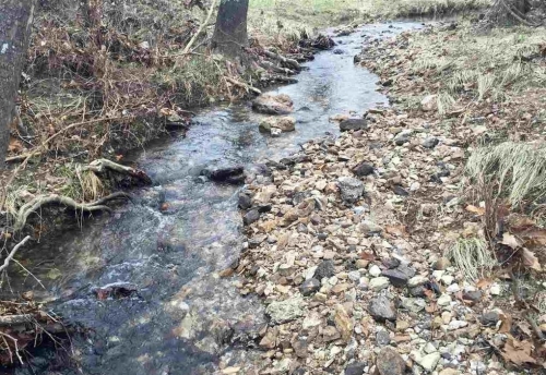 BARCW-daytime-creek