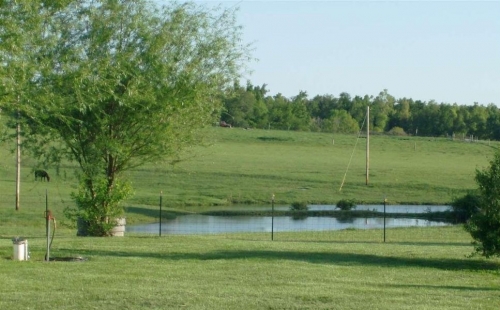BARCW-daytime-field