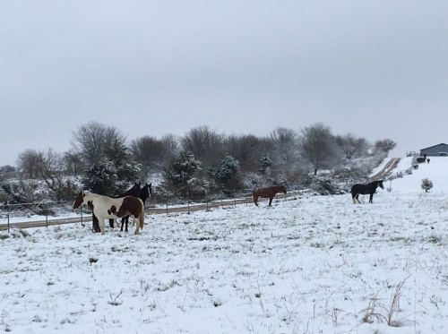 BarCW-Winter2